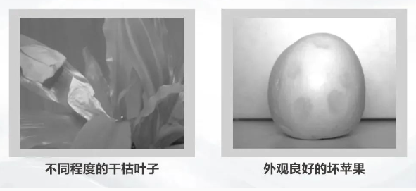 1706241024231221.png image.png